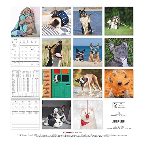 Funny Dogs 2024, Brochure Calendar 30 x 30 cm (30 x 60 cm Open), Calendar with Space for Notes, Dogs, Picture Calendar - Image 3