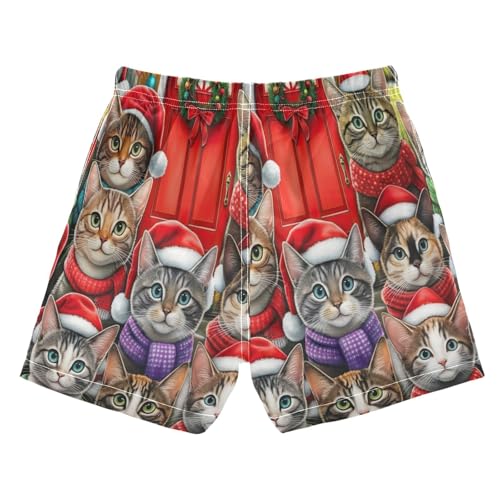 Swimming Clothes for Boys, Toddler Boy Swim 2t, Cute Cats Christmas2