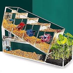 Betta Fish Tank Aquarium Kit