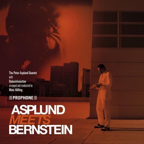 Asplund Meets Bernstein by Peter Asplund