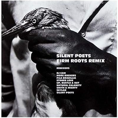 Firm Roots: Remixes