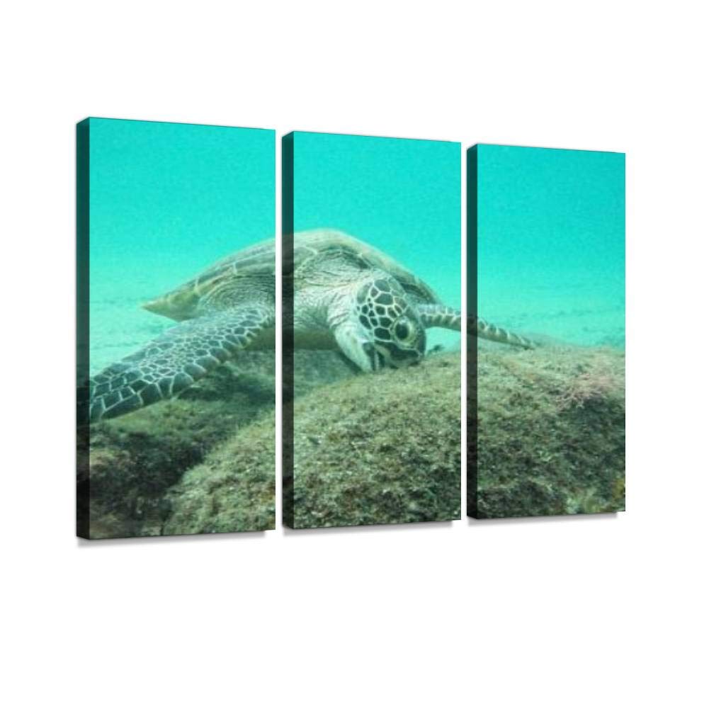 ウミガメの模型 ダイビング ハンドメイド インテリア ウミガメの模型 ダイビング ハンドメイド インテリア ライト