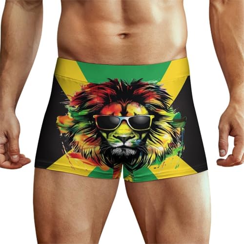 Jamaican Flag with Lion Men's Boxer Briefs Stretch Waistband Breathable Underwear