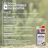NEU! EWALIA Nervensaft für Hunde - Beruhigung und Balance für Ihr Haustier in stressigen Zeiten - mit Tierärzten entwickelt, 100% Natur pur, frei von Zusätzen, zertifizierte Inhaltsstoffe - 500ml