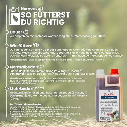 NEU! EWALIA Nervensaft für Hunde - Beruhigung und Balance für Ihr Haustier in stressigen Zeiten - mit Tierärzten entwickelt, 100% Natur pur, frei von Zusätzen, zertifizierte Inhaltsstoffe - 500ml