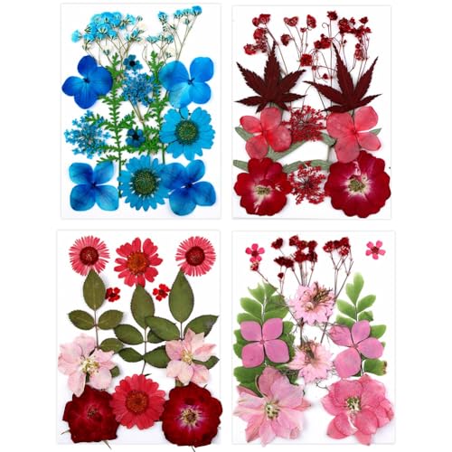 Dried Pressed Flowers for Resin Molds,Real Natural Pressed Flowers for DIY Art Crafts,Candle Making, Nails Décor,Soap Making, Phone Case Plant Specimens for DIY Crafts Scrapbooking Style 9