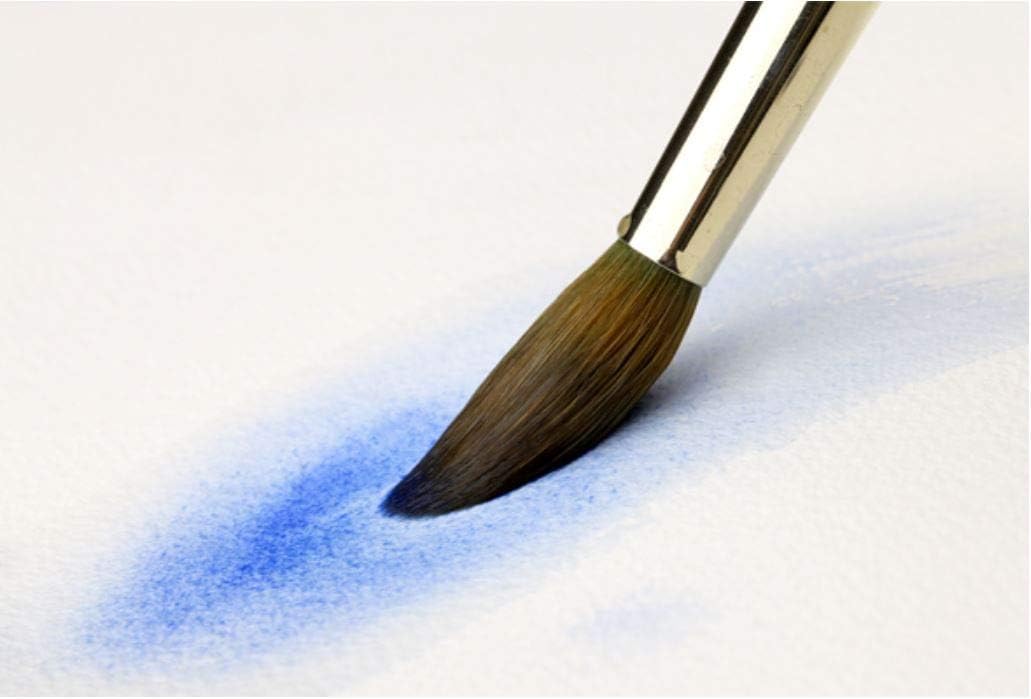 Artist Watercolor Paint Brush 700R, Round Brush_Set of 6 Brushes