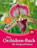 Das Orchideen-Buch für Fortgeschrittene - Brigitte Goede 