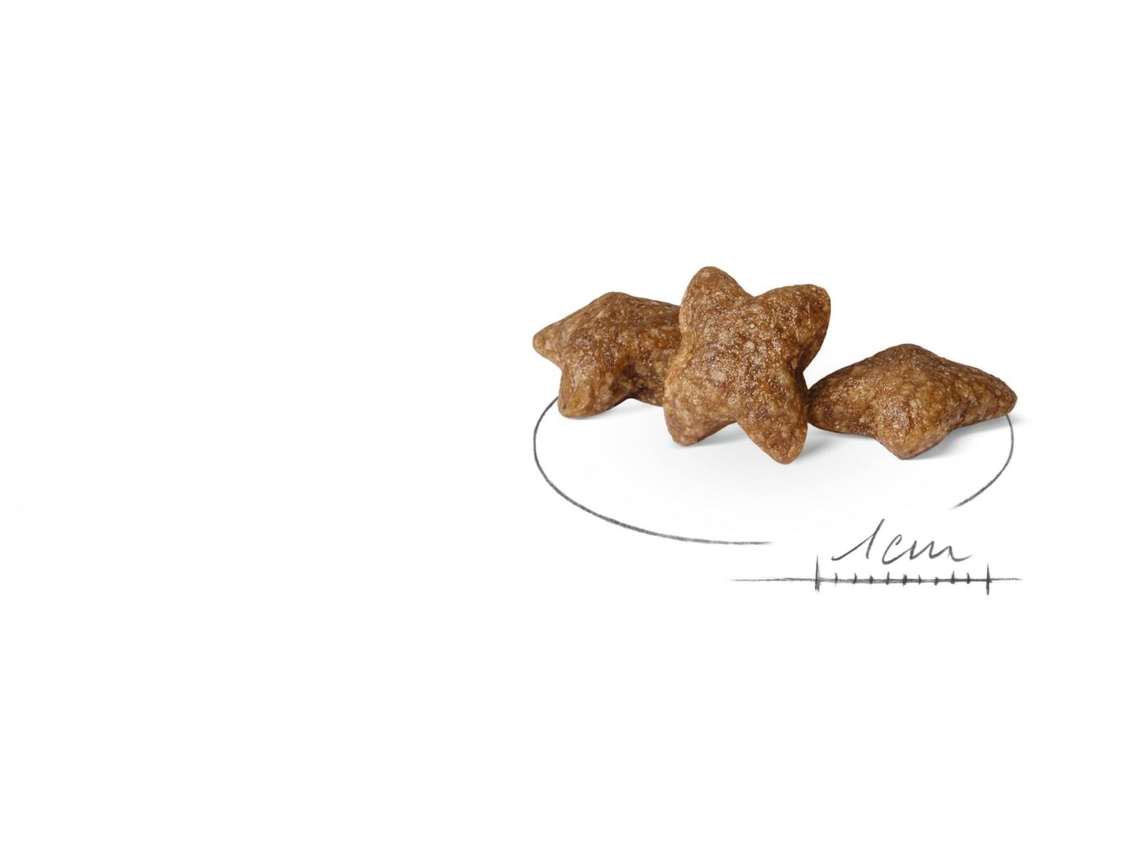 ROYAL CANIN Mini Adult Secco Cane Kg 4