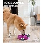 Outward-Hound-Fun-Feeder-Slo-Bowl-Slow-Feeder-Dog-Bowl-MediumMini-Purple