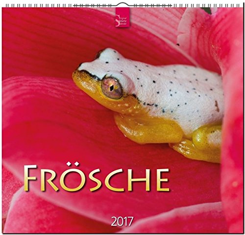 FRÖSCHE - Original Stürtz-Kalender 2017 - Mittelformat-Kalender 33 x 31 cm FRÖSCHE - Original Stürtz-Kalender 2017 - Mittelformat-Kalender 33 x 31 cm