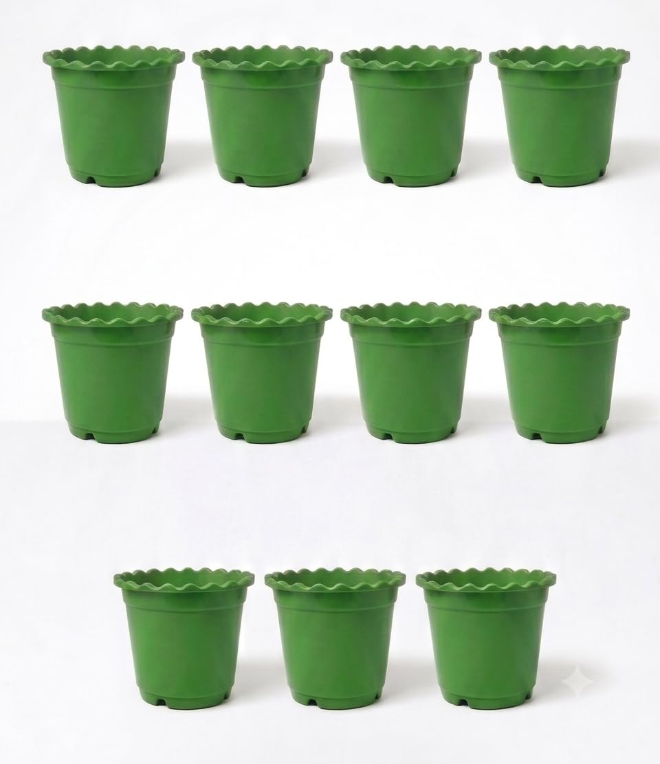 6-Inch Plastic Flower Pots (Pack of 11) for Indoor and Outdoor Plants | Durable Garden Pots with Drainage Holes-image-27