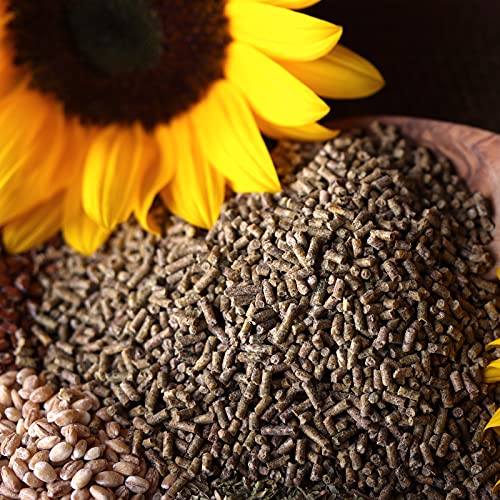 WachtelGold® Wachtelkorn ProVital 2,5 kg – hochwertiges Alleinfutter für Legewachteln | Kräuterkomplex aus Oregano, Thymian & Spirulina | unterstützt Verdauung & Vitalität | ohne Gentechnik & Palmöl