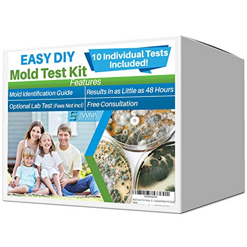 Evviva Sciences Mold Test Kit for Home - 10 Simple Mold Detection Tests