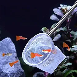 1 rede de camarão para aquário pequeno – ferramenta de limpeza de detritos de aquário com malha fina e alça extensível para tanques e aquários