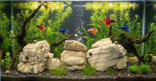 Image of Natural Elephant Skin Stone for Aquarium & Aquascaping - Textured Elephant Rock Hardscape for Betta, Shrimp & Planted Tanks (0.9, Kilograms)