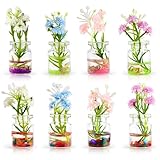 Zkptops Set of 8 Cute Shells Conch Flower Car Accessories for Women Girls Interior Aesthetic Car Dashboard Decorations Funny Mini Flowers in Glass Vase Kawaii Rearview Mirror Ornament for Gifts