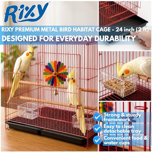 Image of Rixy Metal Bird Cage - 24 inch (2 feet) | Habitat Cage with Free Hanging Toy (1) + Perches (2) + Food & Water Feeder Cups (2) | for Budgies, Lovebirds, Finches, Cockatiels & Parrots (Colour May Vary)