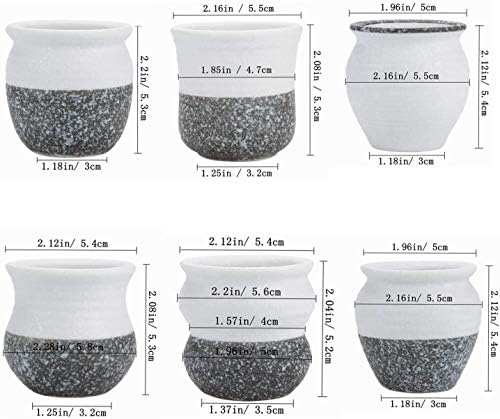 T4U 6cm Ceramic Mini Korea Style Snow Serial Full Set succulent Plant Pot Cactus Plant Pot Flower Pot Container Planter with Bamboo Trays Package 1 Pack of 6