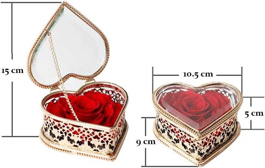 Artificial Eternal Fresh Handmade Immortal Flowers Preserved Rose Transparent Heart Gift Box for Valentine's Day Mother’s Day Christmas Anniversary Home Office Decoration (Red, 1)