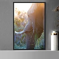 Framed Canvas Wall Art Elephants Animals Dramatic Elephants Farmhouse/Country Living Room Multicolor Photography - 16x24 inches