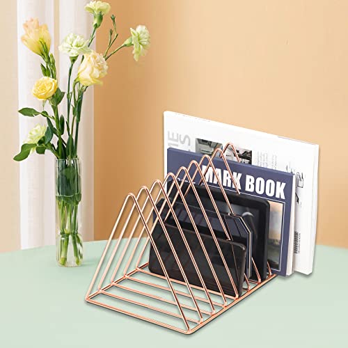 Esaepres Rose Gold Magazine Holder, Desktop File Sorter Organizer Triangle 9 Slot Newspaper Record Storage Shelf Rack For Home Office Decoration #TOP3