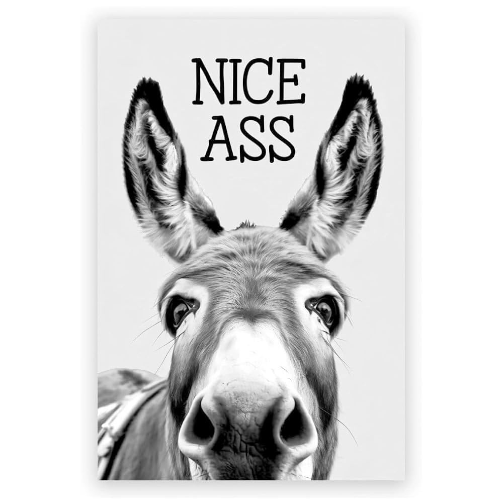 Zbello C Humorous Donkey Anvas Wall Art - Funny Bathroom Sign For Toilet Decor, Farmhouse & Restaurant Wall | Perfect Housewarming Gift, Unique Gift For Home, Hotel Or Office (,30X40cm Frameless)