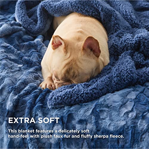 Bedsure Fuzzy Blanket Twin Size - Indigo, Soft And Comfy Sherpa, Plush And Furry Faux Fur, Reversible Twin Blankets For Couch, Sofa And Bed, 60X80 Inches #TOP2