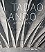 Tadao Ando: Endeavors (ART - LANGUE ANGLAISE)