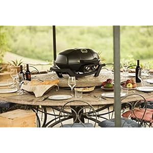 Napoleonpro285bkportablepropanegrillblack Urban Country Home Decor Napoleon pro285 bk portable propane grill black urban country home decor