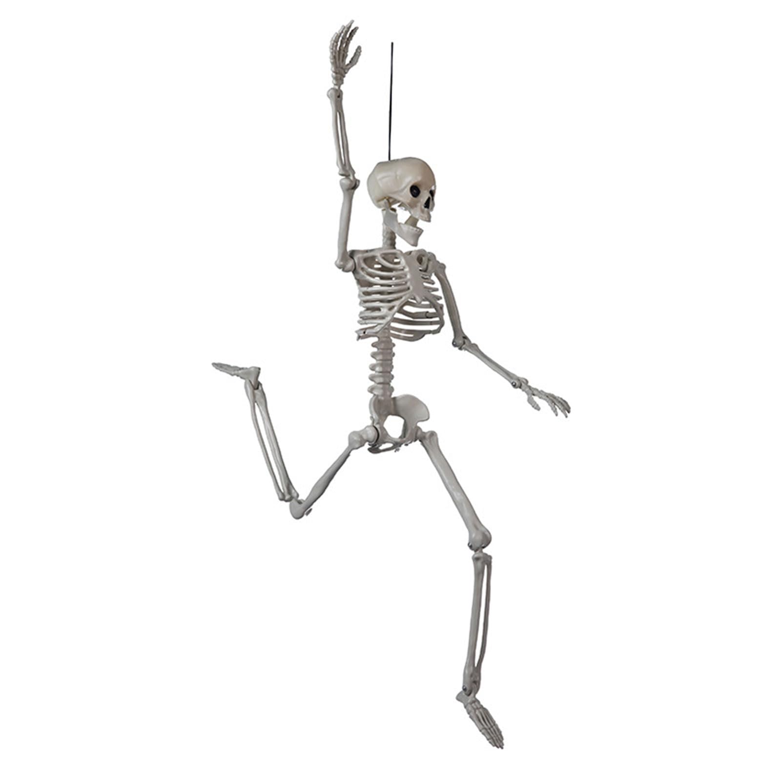 YROHGKPN Realistic Full Body Hanging Skeleton with Movable Joints Halloween Haunting House Props Terrifying Skull Decoration Posable Skeleton