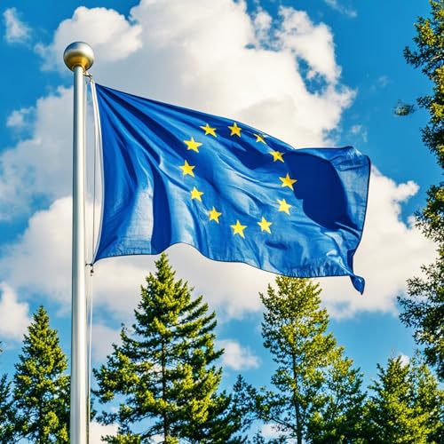 Flagge der Europäischen Union, 152 x 91 cm, große EU-Flaggen mit Messingösen, für Schule, Kultur, Party, Innen- und Außenbereich, Dekorationen