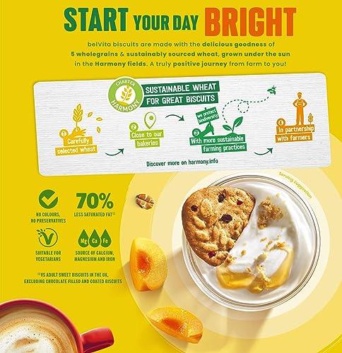 Belvita Breakfast Biscuits Honey & Nuts With Choc Chips, Nutritious Bars With Honey & Chocolate Chips, Multipack of 12 x 45 g Biscuits (Pack of 1)