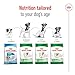 Royal Canin 35206 Mini Adult - Hundefutter, 1er Pack (1 x 8 kg)
