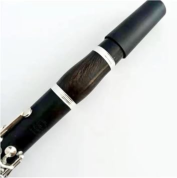 Clarinet with 17 Keys B-Tone Ebony Body Silver-Plated Flaps Clarinet Case and Accessories for Beginners