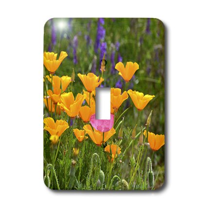 Interruptor de amapolas naranjas para decorar salones en primavera 4