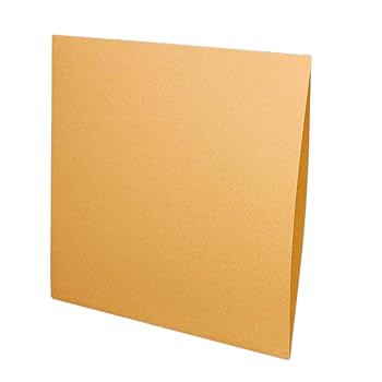 レコード入れる紙袋8枚 ds9-diskunion_2032325000017