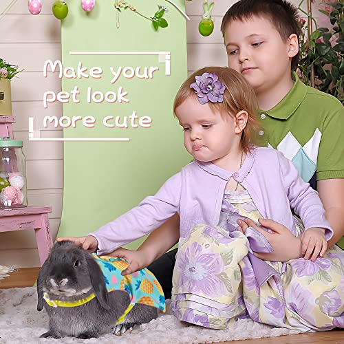 3 Piece Cute Rabbit Leash and Harness Set, Bunny Rabbit Dress Clothes Walking Harness Vest Escape Proof Pet Supply for… - Image 7