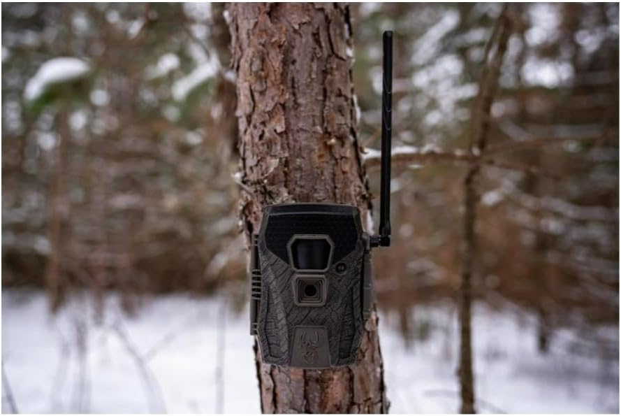 Wildgame Innovations Terra XT 2.0 Cellular Camera mounted on a tree in a snowy forest.