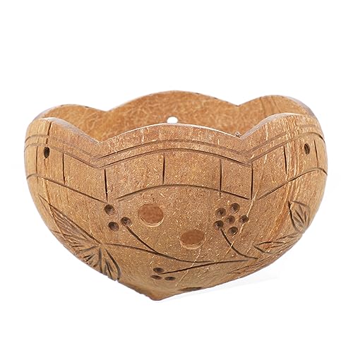 HEMOTON 2 Piezas Colgando una Olla de Flores suculentas Natural suculento Pulido maceteros Maceta jarrón de Plantas Colgantes caldero colgado Hanging Flower Pot Brown