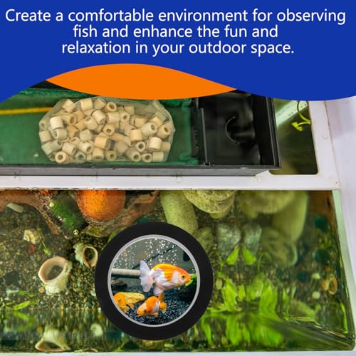 Observation de poissons avec base noire et couvercle transparent - 3