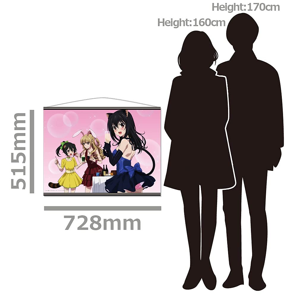 ストライク・ザ・ブラット ビッグタオル 姫柊雪菜 藍羽浅葱 暁凪沙 Amazon.co.jp: ストライクザブラッド バスタオル 姫柊雪菜 藍羽