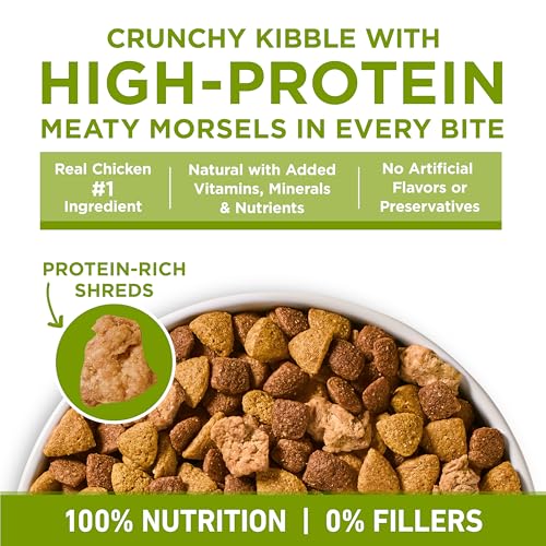 Purina ONE Plus Whole Body Support with Chicken Dry Dog Food, 16.5 lb Bag - image 6