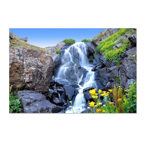 Peinture fleurs et cascade sur toile pour illuminer un petit mur sombre 20x30