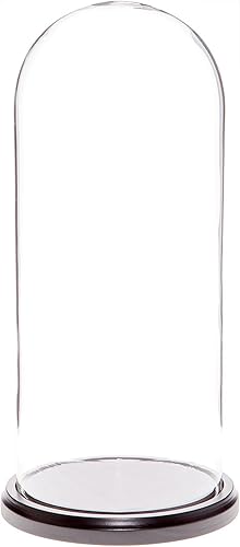 Plymor Campana de cristal para exhibición de 5.5 x 13 pulgadas en forma de domo