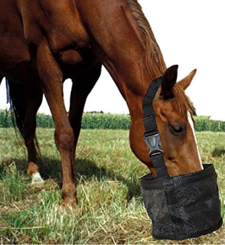 Horse Riding Gears and Track Set (Feed Bag for Horses)
