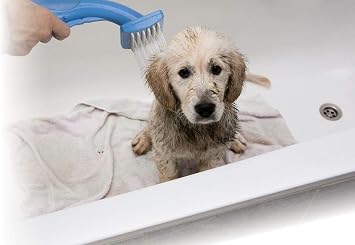 Pet Zoom Bathe N Groom Indoor Outdoor Dog Washer and Grooming System with 4 Foot Hose and Three Connectors