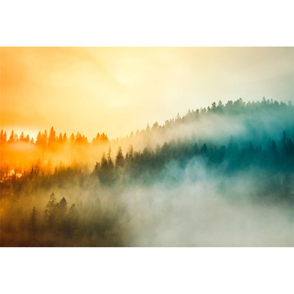 8x5ft Foggy Forest Backdrop Misty Mountain Green Fog Pine Backgrounds Autumn Nature Outdoor Landscape Photography Background for Wedding Party Decor Baby Shower Photo Booth Props