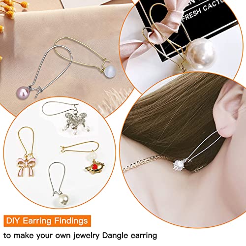 250Pcs Earring Hooks Dangle Wire For Jewelry Making,Mixed Color Ear Wire Hooks Kidney Earring Hooks 1Inch Long Earrings Beading Hoop Teardrop Ear Wire For Diy Dangle Earrings Making #TOP3