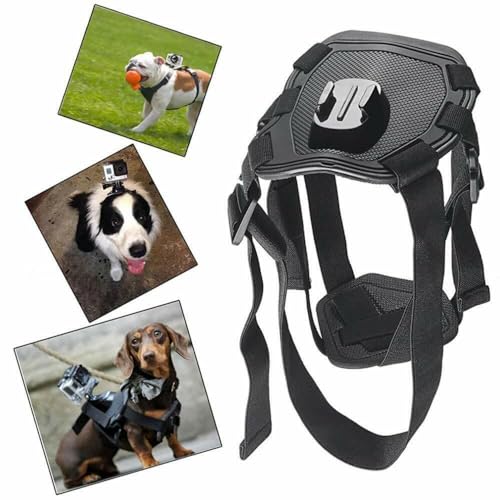 Arnés para perro para GoPro compatible con modelos 12 11 10 y cámara de bolsillo 7